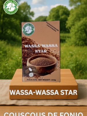 Multicolore Assemblée Générale Copropriété Affiche Illustratif (1) Wassa-Wassa Star - Le Couscous d’Igname Authentique du Bénin