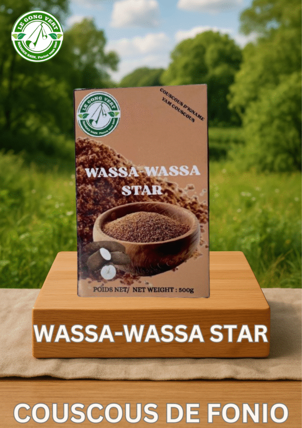 Multicolore Assemblée Générale Copropriété Affiche Illustratif (1) Wassa-Wassa Star - Le Couscous d’Igname Authentique du Bénin